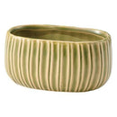 TAKI Oval - Maccha