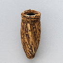Mukogake Toratake-minonushi (bagworm)