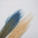 Feather Grass