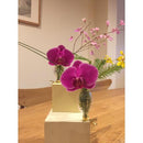 Clip mini Vase