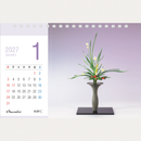 2027 IKENOBO Calendar D (Desk Calendar)