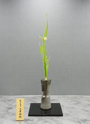 SU-3 Daffodil Vase
