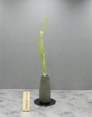 SU-7 Daffodil Vase