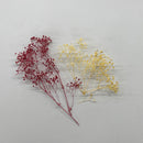 Mini Baby's Breath (yellow)