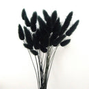 【Preserved flower】Lagurus
