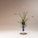 Glass Merry T-49