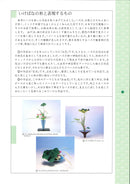 花之時間