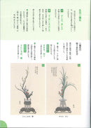 池坊ABC  2  生花二種生・三種生篇