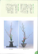 池坊ABC  2  生花二種生・三種生篇