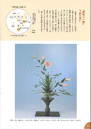 Ikenobo ABC Vol.6 Rikka (1)