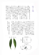 池坊いけばな基本講座 (日文版)