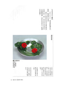 More to Learn FREE STYLE (Chinese)