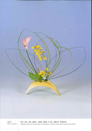 Ikenobo Ikebana Basic Course (Chinese)