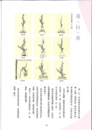 Ikenobo Ikebana Basic Course (Chinese)