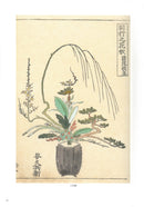 Ikebana Bijutsu Meisakushu vol.3 - Rikka Imayo sugata