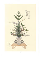 Ikebana Bijutsu Meisakushu vol.8 - Sensho Risshokashu