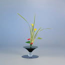 Glass Merry T-1 / T-7