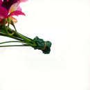Stem Tissue (Box)