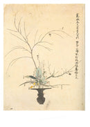 池坊專好立花名作品集