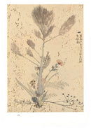 池坊專好立花名作品集