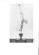 Ikenobo Shoka no Manabikata Vol.1 Shiki no Somoku (seasonal plants)