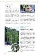 插花池坊 歷史讀本