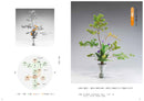 Ikebana Lesson Supplement -Rikka Plus-